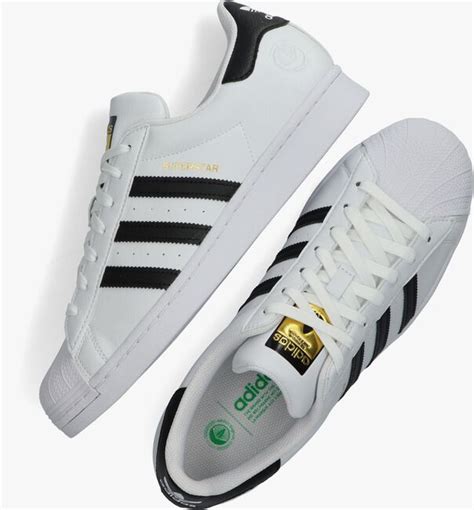 Weiße, türkise adidas Superstar 